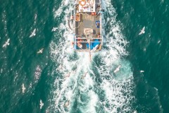 Aerial view of fishing boat, Mevagissey, Cornwall,UK.