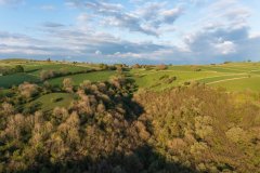 DJI_0699-2