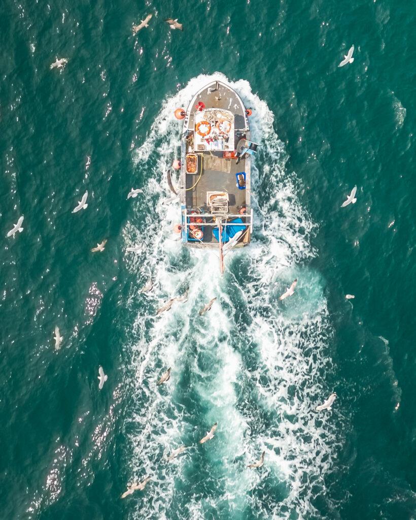 Aerial view of fishing boat in turquise sea pulling in lobster & crab pots while seagulls fly overhead, Mevagissey, Cornwall, UK.